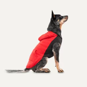 Gooeez Kangaroo Fleece Hoodie 2XS Red/Black