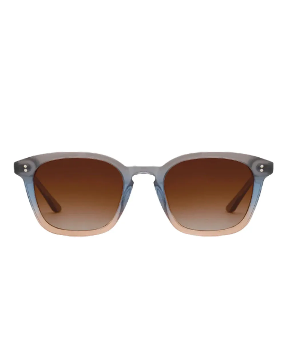 Prytania Sunglasses in Oolong